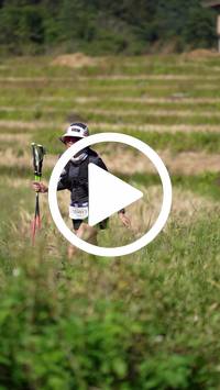 BIB:  <button type="button" onclick="openModal(26787298)" class="btn btn-primary btn-sm float-right" data-toggle="modal" data-target=".modal-high-quality">
                <i class="fa fa-download"></i> Download
                </button>